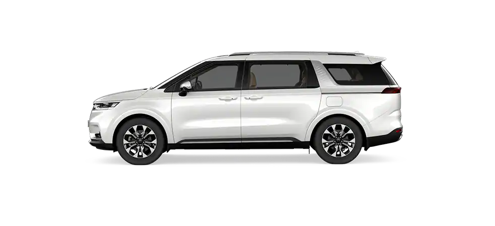 Snow white pearl Snow white pearl