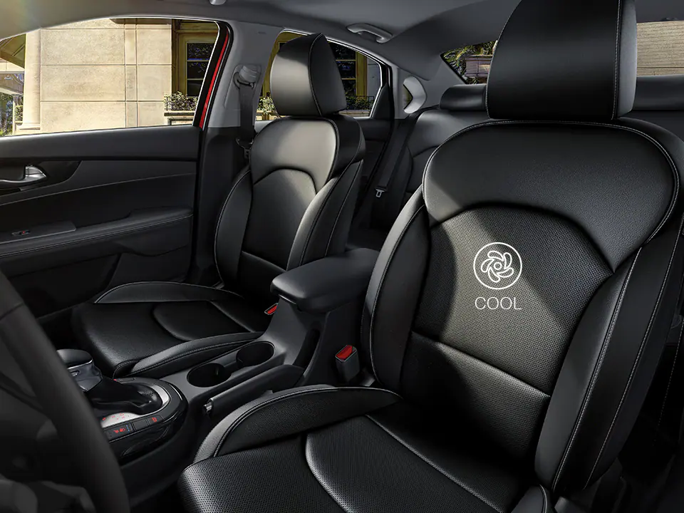 Power seats & lumbar support