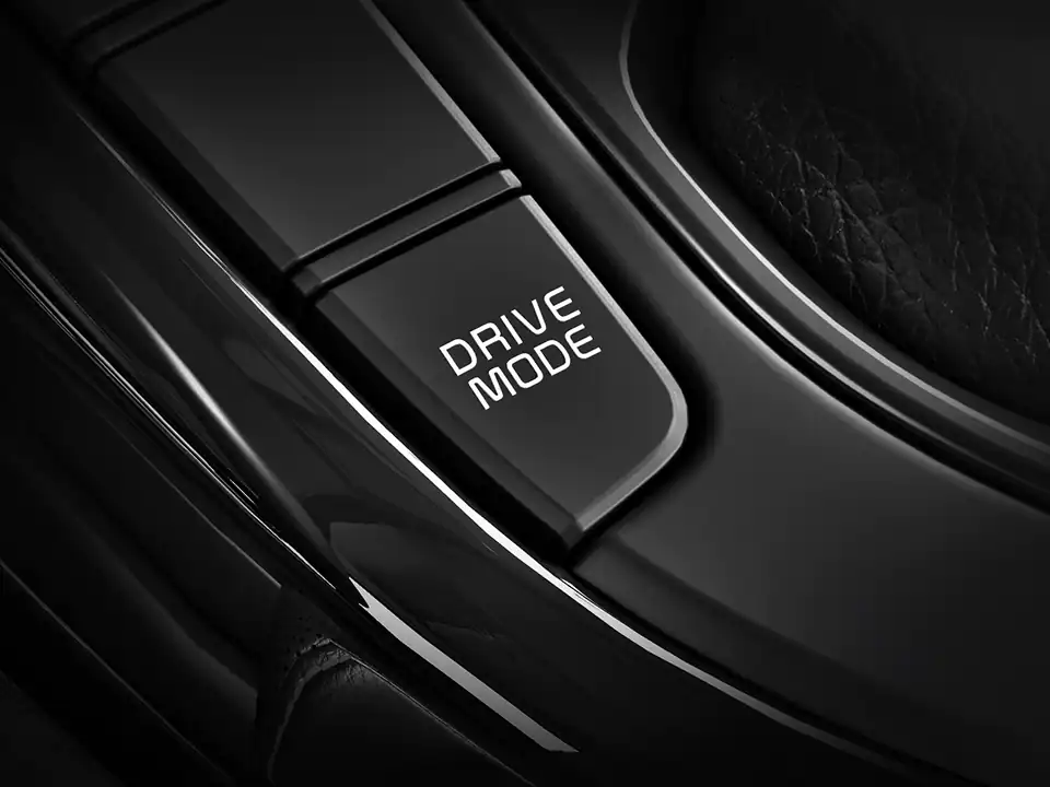 Drive Mode Select (DMS)