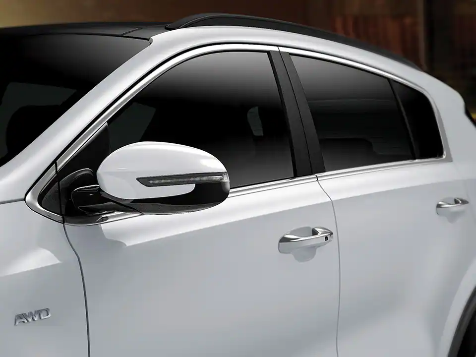 Window surround crome molding