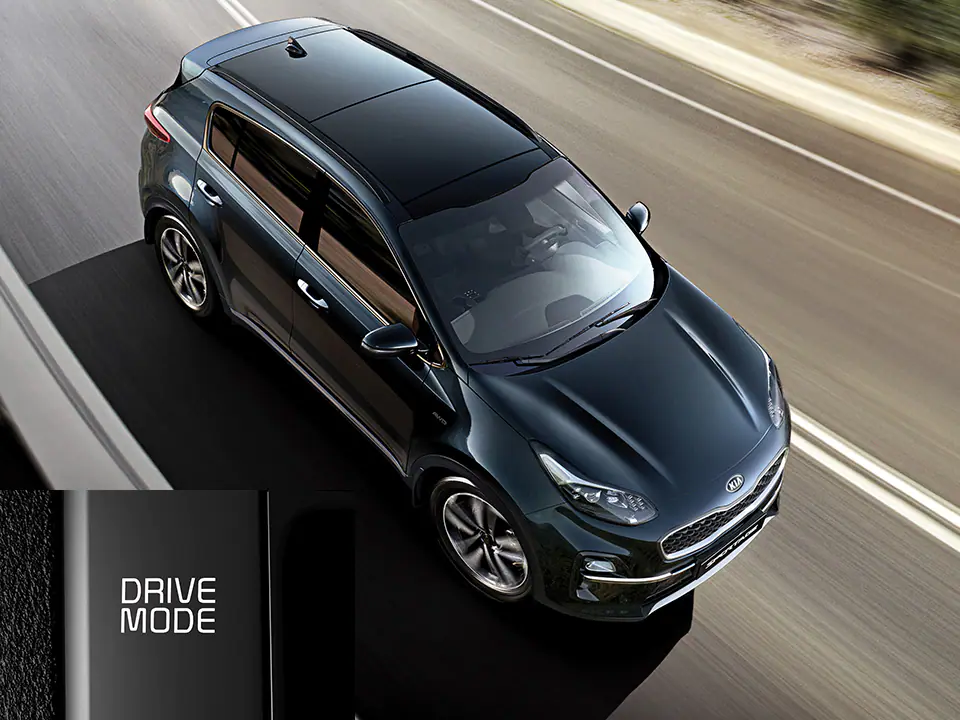 Drive Mode Select (DMS)